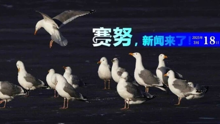 新澳彩历史开奖记录查询,中国海军编队会绕行澳大利亚一周吗,成语解释落实可能存在的问题_VR版V3.97
